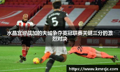 水晶宫迎战加的夫城争夺英冠联赛关键三分的激烈对决